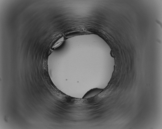 X0000094800096200712141702