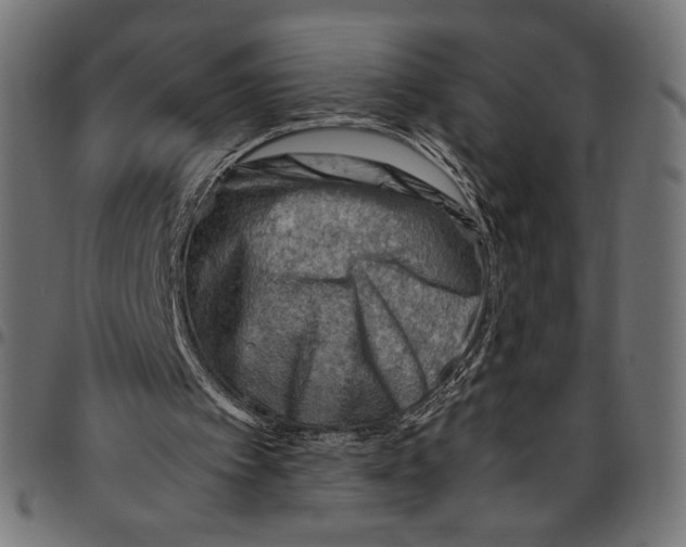 X0000094800097200712141702