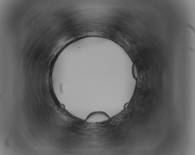 X0000094800098200712141702