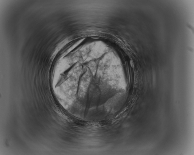 X0000094800099200712141702