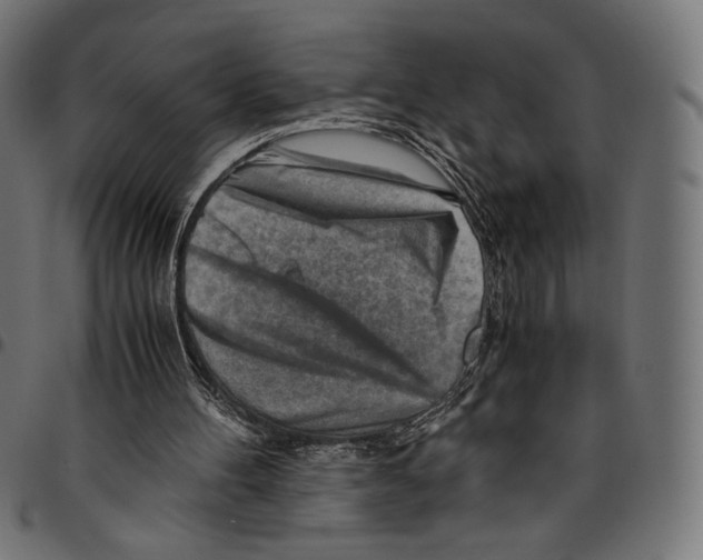 X0000094800100200712141702
