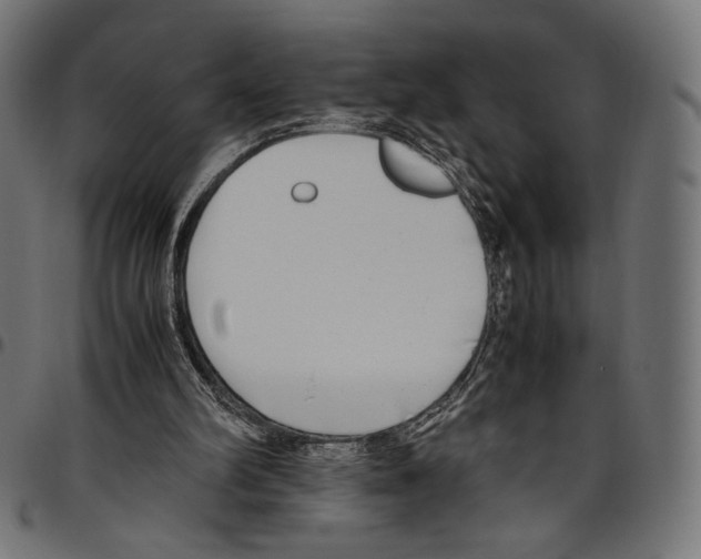 X0000094800102200712141702