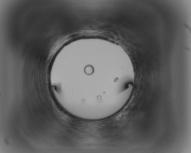 X0000094800103200712141702