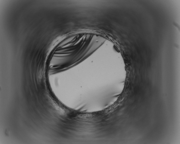 X0000094800104200712141702