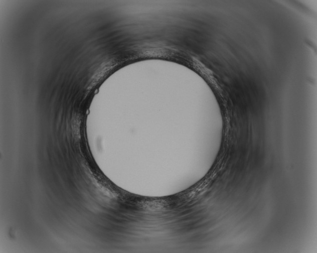 X0000094800106200712141702
