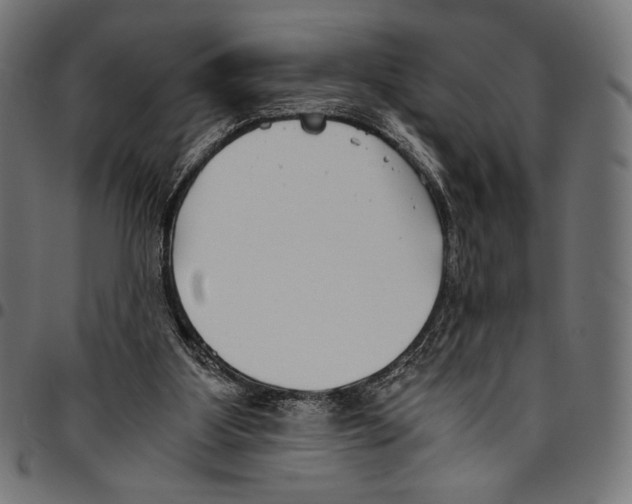 X0000094800107200712141701