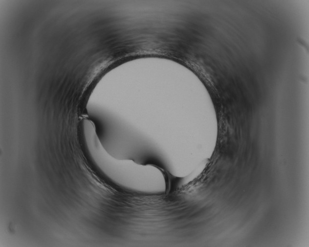 X0000094800108200712141701