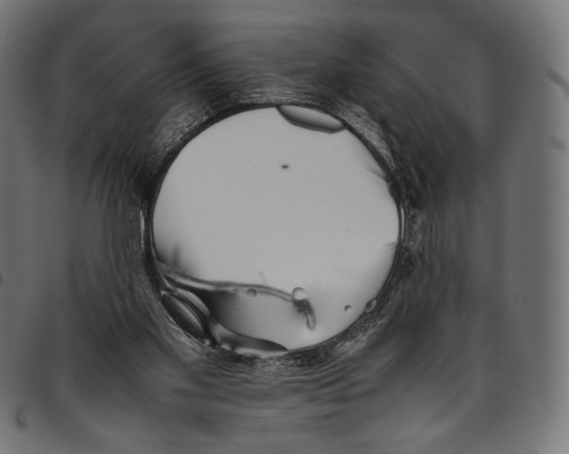 X0000094800109200712141701