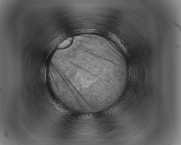 X0000094800110200712141701