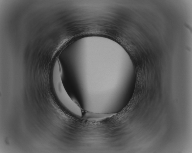 X0000094800112200712141701