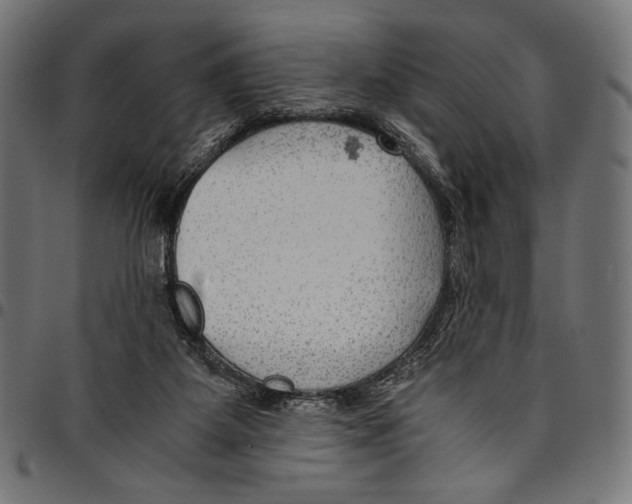 X0000094800115200712141701