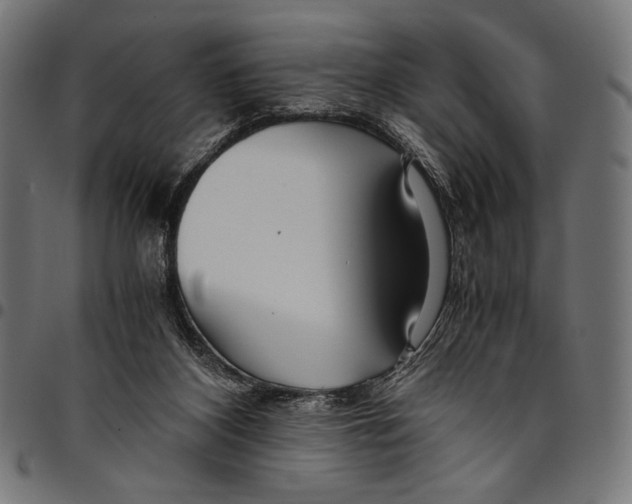 X0000094800116200712141701