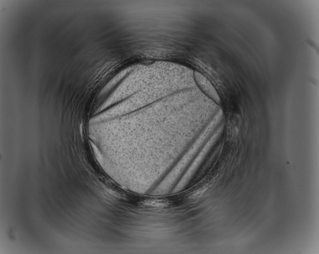 X0000094800117200712141701
