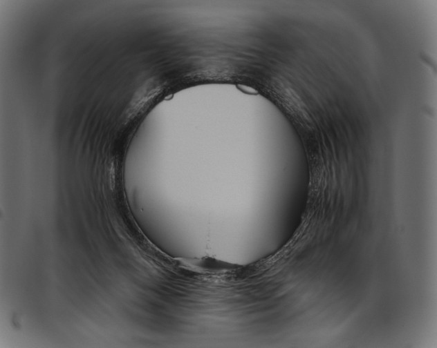 X0000094800120200712141701
