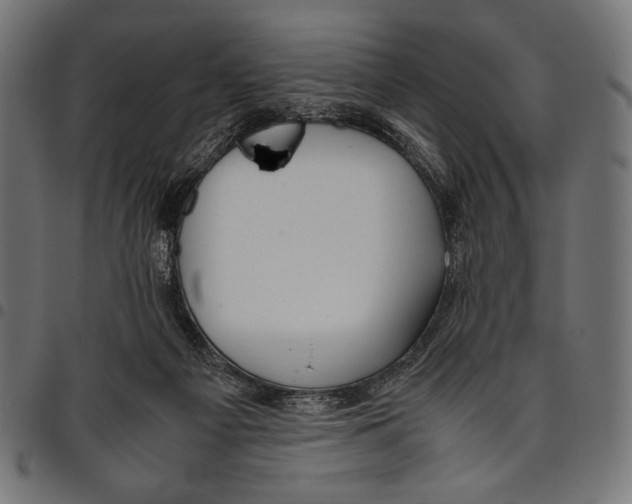 X0000094800121200712141701