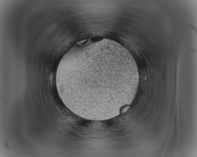 X0000094800123200712141701