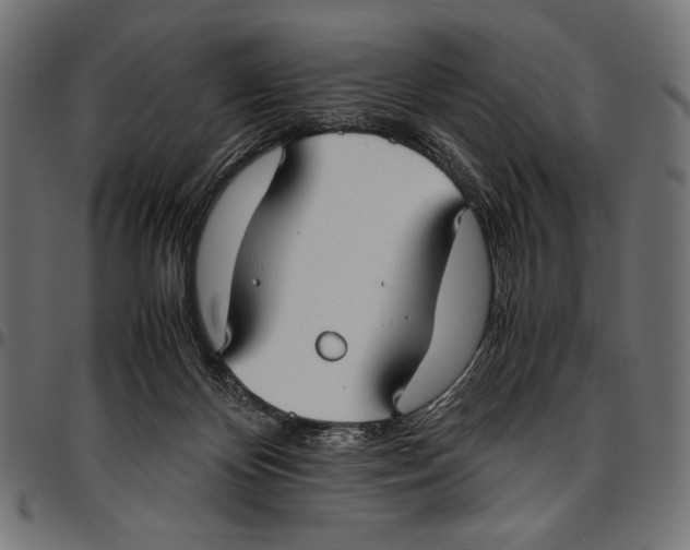 X0000094800124200712141701