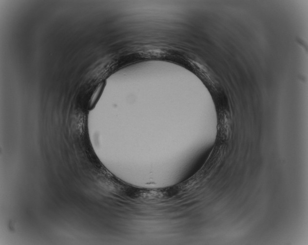 X0000094800125200712141701