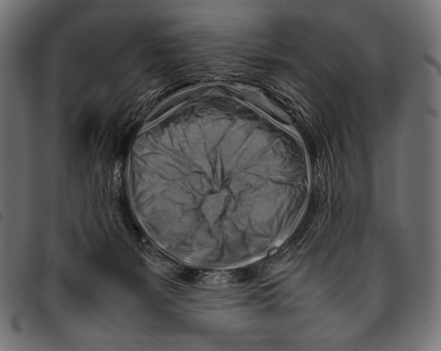 X0000094800127200712141701
