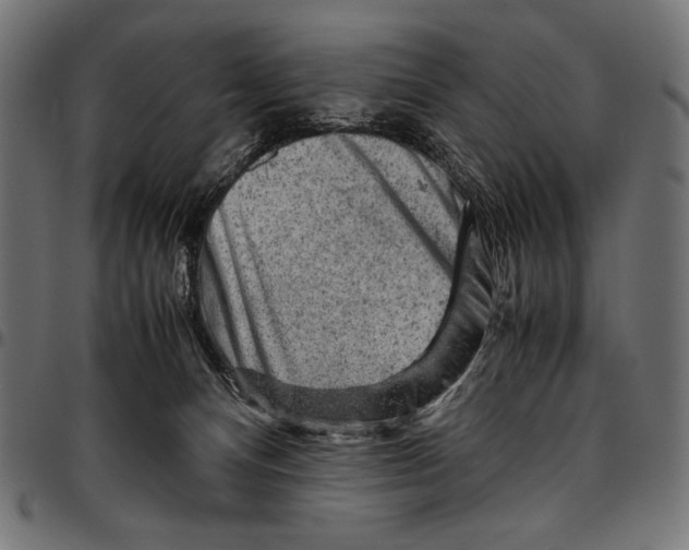 X0000094800128200712141701