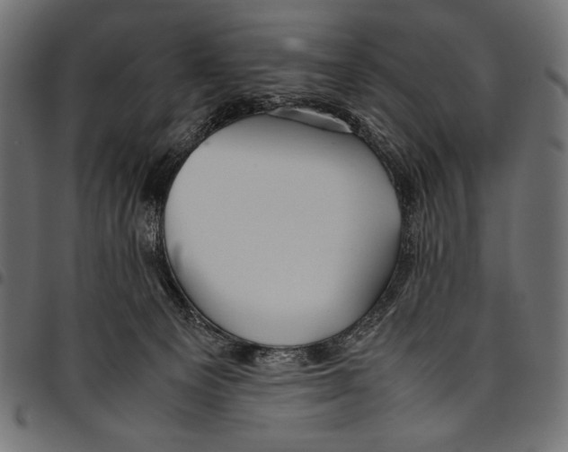 X0000094800129200712141701