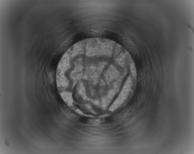 X0000094800131200712141701