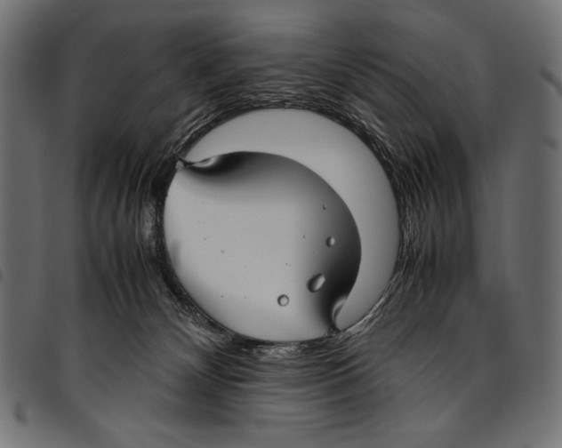 X0000094800132200712141701