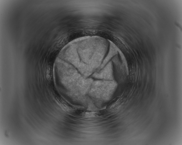 X0000094800134200712141701