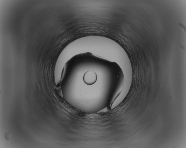 X0000094800137200712141701