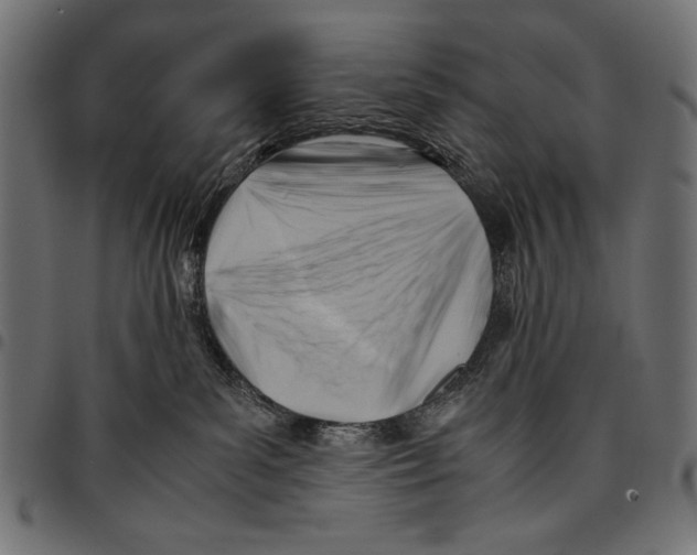 X0000094800139200712141701