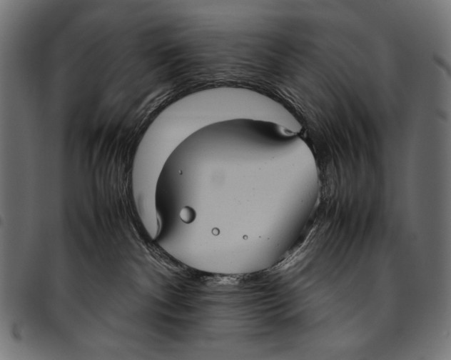 X0000094800140200712141701