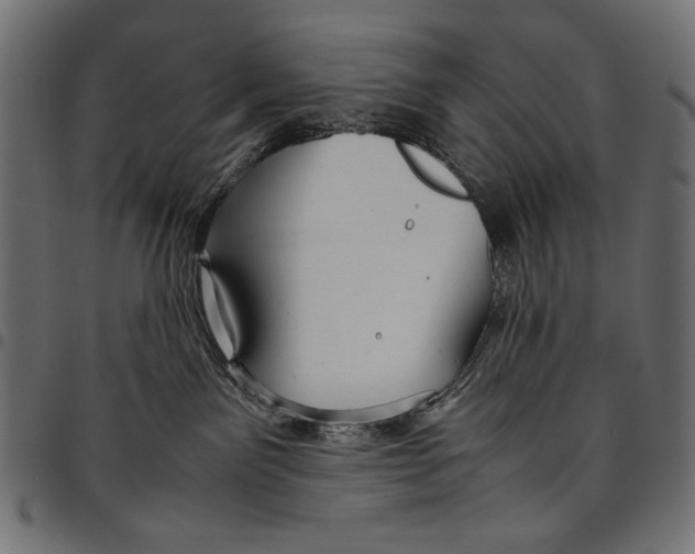 X0000094800141200712141701