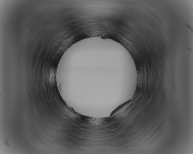 X0000094800142200712141701