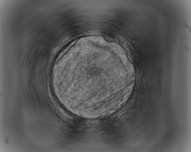 X0000094800145200712141700