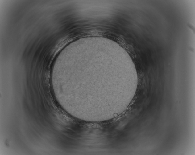 X0000094800146200712141700