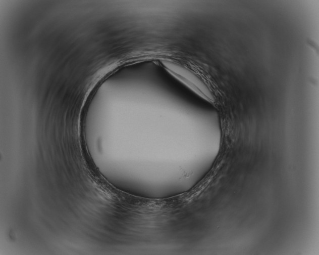 X0000094800148200712141700