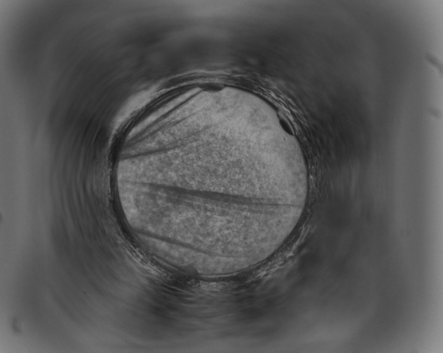 X0000094800149200712141700
