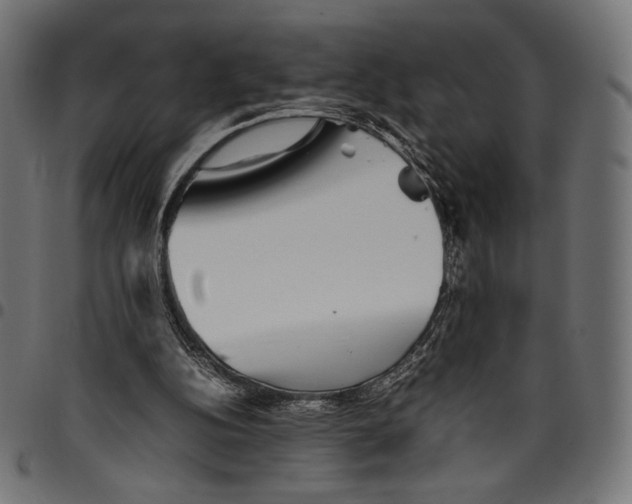 X0000094800152200712141700