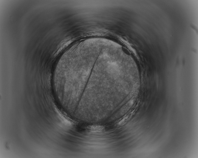 X0000094800154200712141700