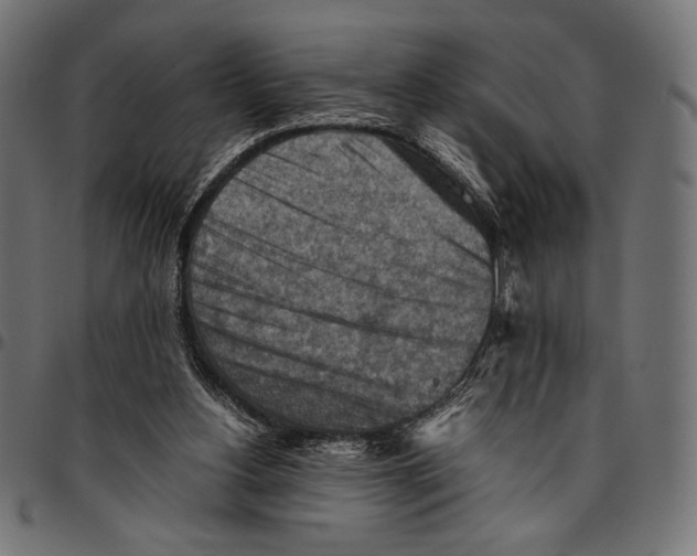 X0000094800156200712141700