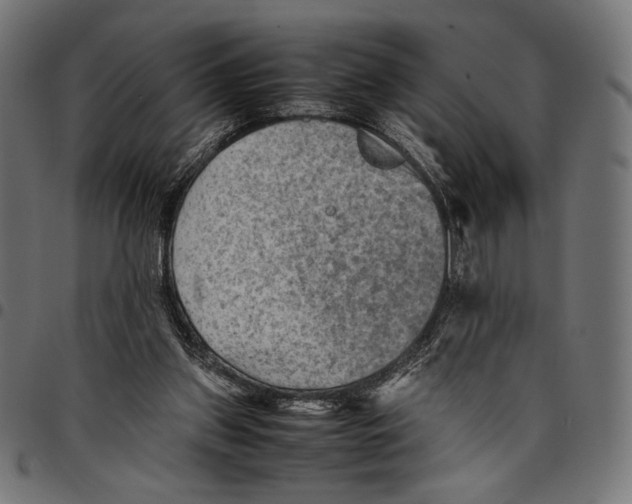 X0000094800157200712141700