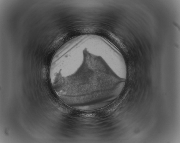 X0000094800161200712141700