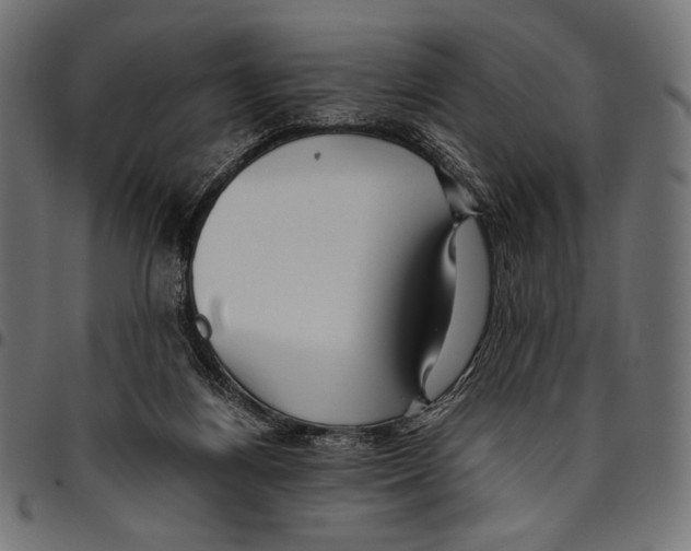 X0000094800164200712141701