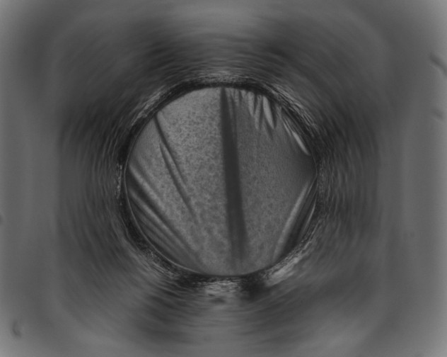 X0000094800168200712141701