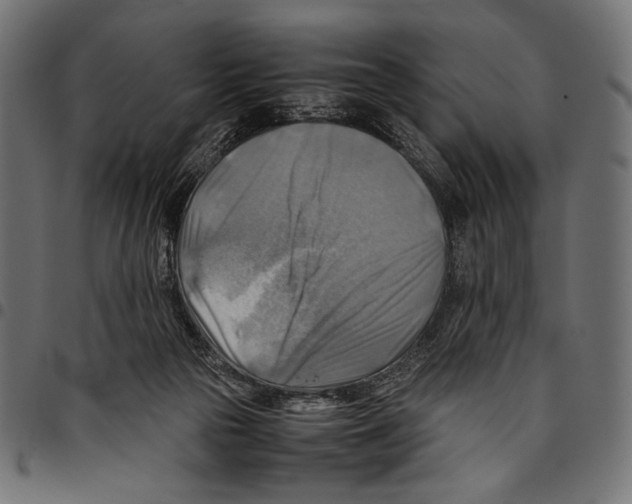 X0000094800169200712141701