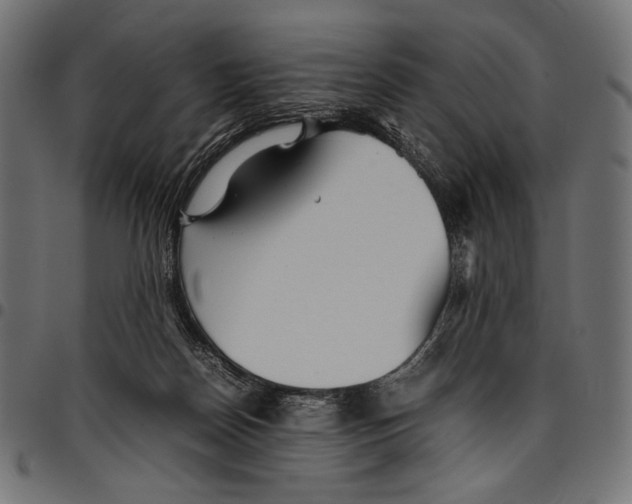 X0000094800170200712141701