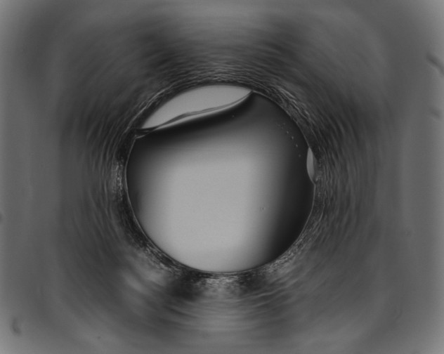 X0000094800172200712141701