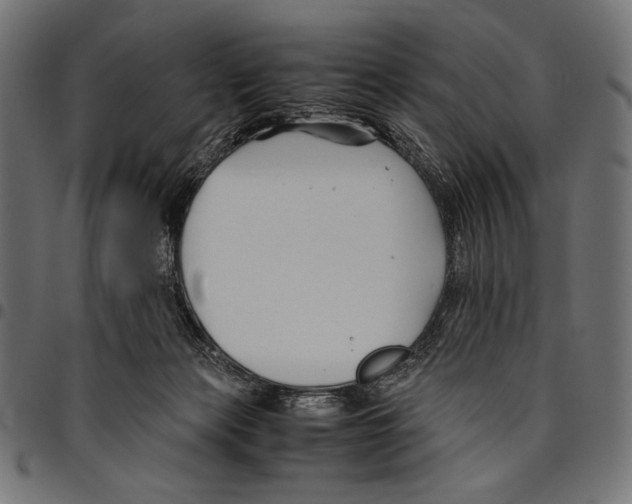 X0000094800173200712141701