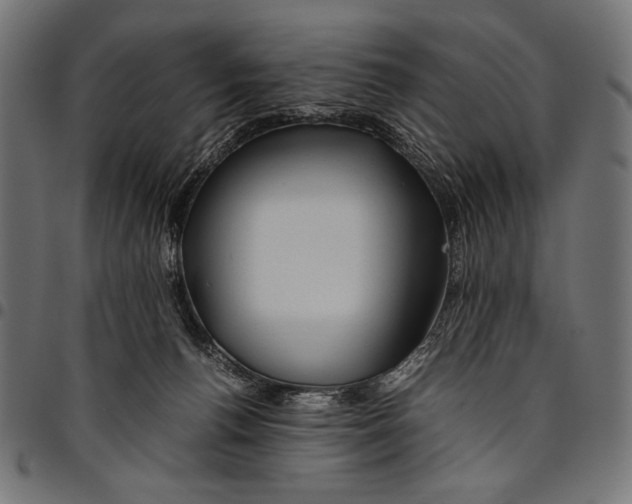 X0000094800176200712141701