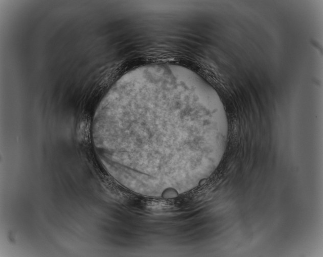 X0000094800177200712141701